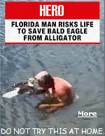 A 69 year old Florida man, Doug Hay, risked his own life to rescue a drowning bald eagle that was about to be attacked by an alligator. ''That would be in my head the rest of my life if I couldn't save this bird. I had to do it,'' Hay said. ''Just wanted to get to the eagle and save it, it's our national symbol, It's freedom, it's America.''
